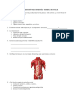 Quiz 2 Fisiología Del Sistema Muscular