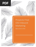 Proyecto Final Ceo Im