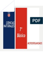 Microorganismos 7° Básico 2022 Completo 1