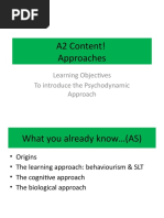 Lesson 1 - Psychodynamic