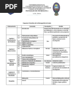 Esquema de La Monografía UMSA