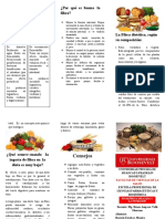 Triptico Fibra Dietetica