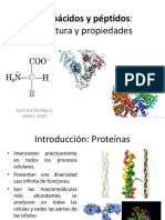 Clase 5 - Estructura y Función de Aminoácidos y Péptidos