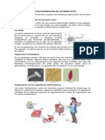 Niveles de Organización de Los Seres Vivos