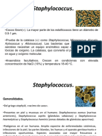 Staphylococcus