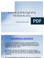 Encefalitis Equina Venezolana 1