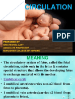 Fetal Circulation