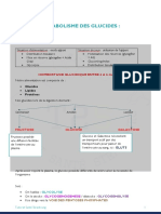 Métabolisme Des Glucides