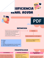 Insuficiencia Renal Aguda