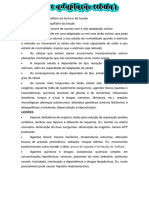 Lesão e Adaptação Celular