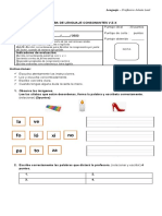 Prueba de Lenguaje Consonantes V