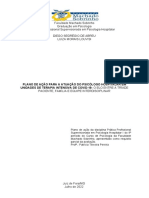 Plano de Ação - Psi Hospitalar - Final