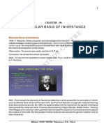 Molecular Basis of Inheritance