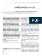 Biomarkers in Chronic Kidney Disease: A Review