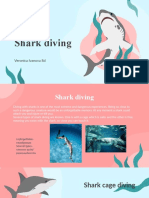 Shark Diving