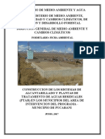 Ficha Ambiental Pucarani