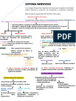 Sistema Nervioso