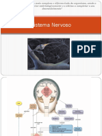 Aula5fisiologia2018 1