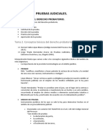 Pruebas Judiciales. Sesion Docente 2. Conceptos Básicos