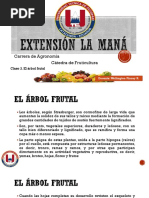 Clase 3. El Árbol Frutal