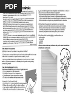 La Extinción de Los Dinosaurios