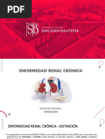 Enfermedad Renal Cronica