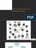 Células Del Sistema Inmune