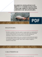 Planeamiento Estratégico en Crecimiento y Comercialización de Truchas