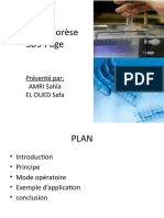 L - Éléctrophorèse SDS-Page Final