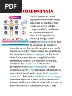 Portafolio 2 Homeostasis, Motivacion y Teoria de Los Sistemas