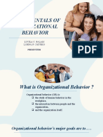 Fundamentals of Organizational Behavior