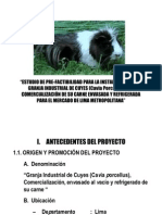 Proyecto Cuy