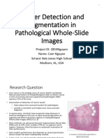 Cancer Detection and Segmentation Project PPT Compressed