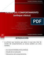 Clase - 6 Causas Del Comportamiento