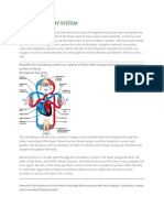 Circulatory System