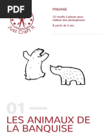 Animaux Banquise