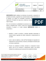 Pe-Dg-07 Política de Seguridad Vial