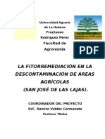 Fitorremediacion en La Descontaminacion de Areas Agricolas