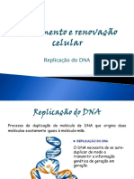 Replicação Do DNA