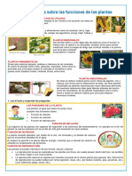 Ficha de Ciencia y Tecnología 01-09 Investigamos Sobre Las Plantas