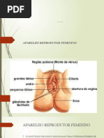 Anatomia e Fisiologia