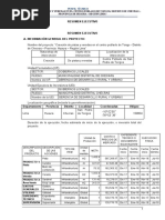 Resumen-Ejecutivo TONGOS