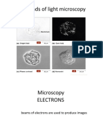 BIO205 Microscopy 2