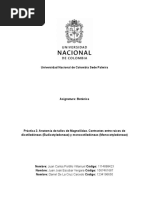 Informe 2 Botánica