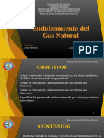 Endulzamiento Del Gas Natural IVO