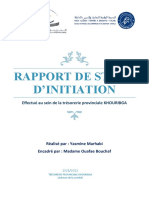 Rapport Stage D'initiation