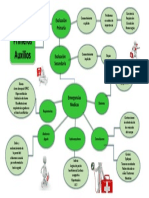 Mapa Mental Primeros Auxilios