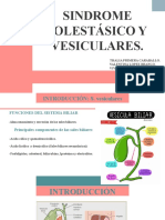 Sindromes Vesiculares Expo