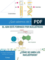 Repaso Dogma Central de La Biología Molecular