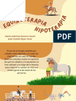 Equino - Hipo